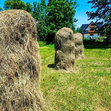 Tatra Apartament Jurgów