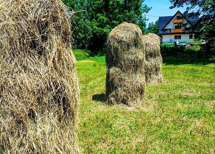 Tatra Apartament Jurgów